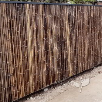 gebouw Oom of meneer vervagen Zwarte bamboemat 180 x 180 | Natuurlijke schutting