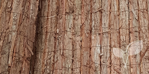 Natuurlijke schutting van boomschorsmatten